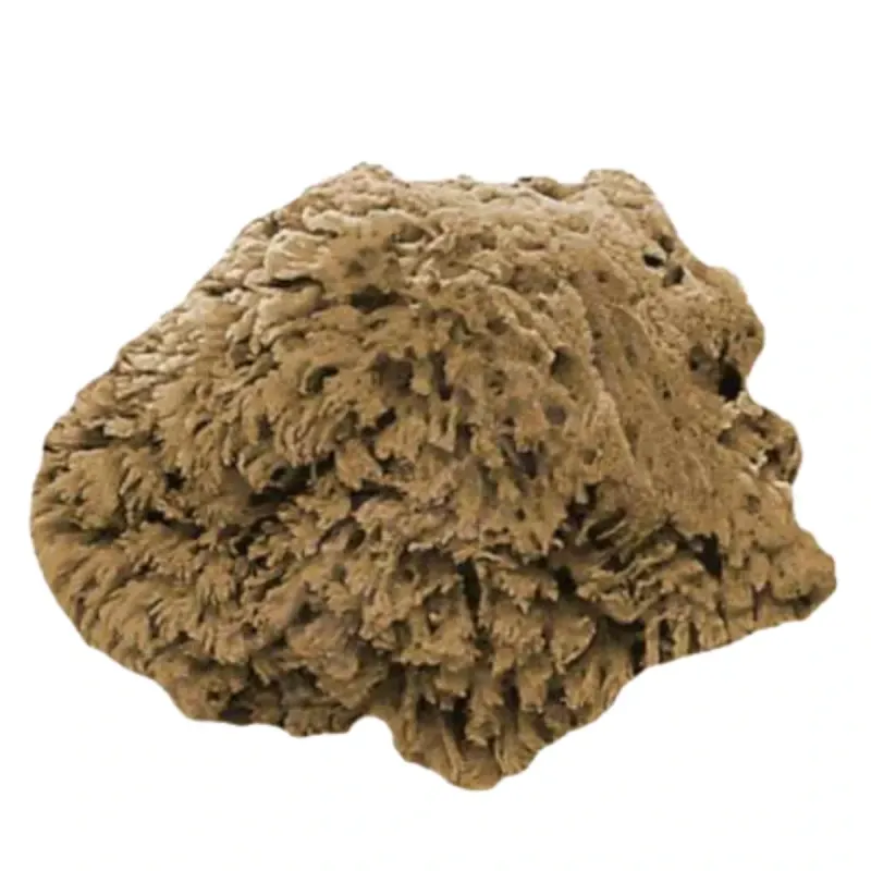 Esponja natural Grass- Extrasuave- Naturacosmetika