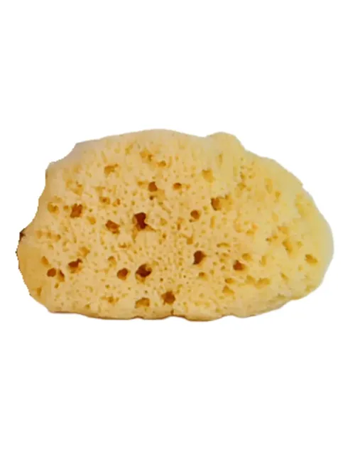Esponja natural grande The Dida World